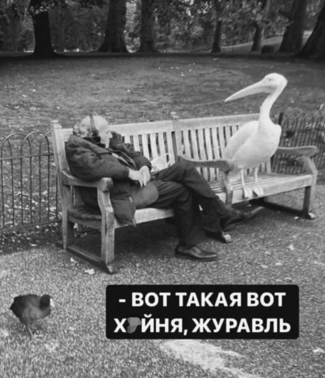 Самые свежие прикольные картинки