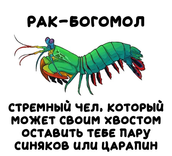 Интересная биология | uCrazy.org
