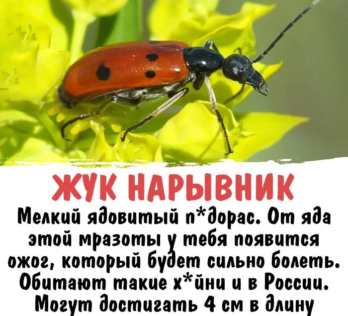 Интересная биология