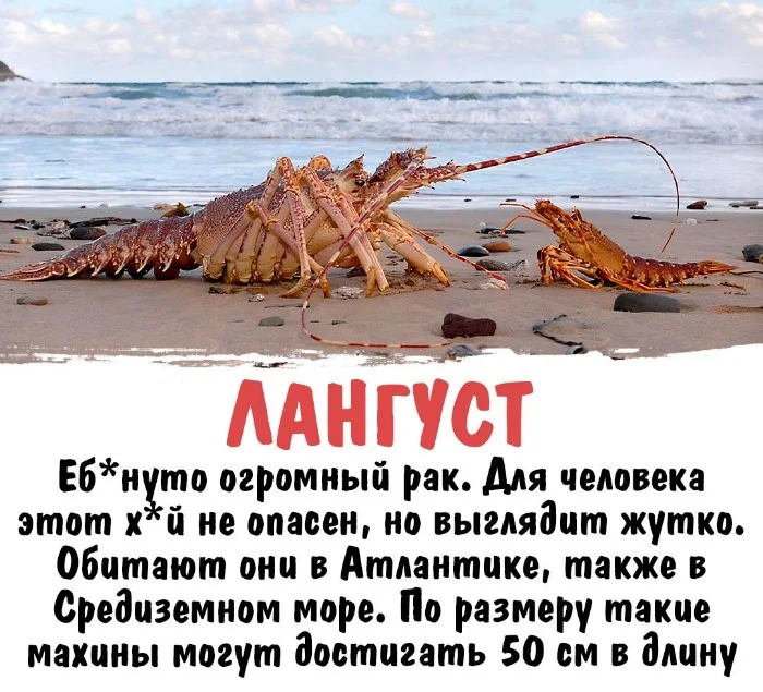 Интересная биология #11