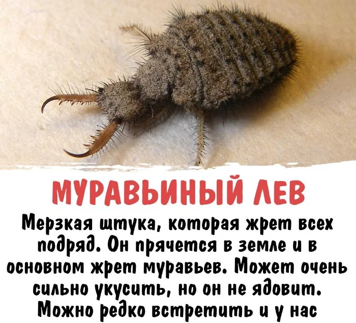 Интересная биология #13