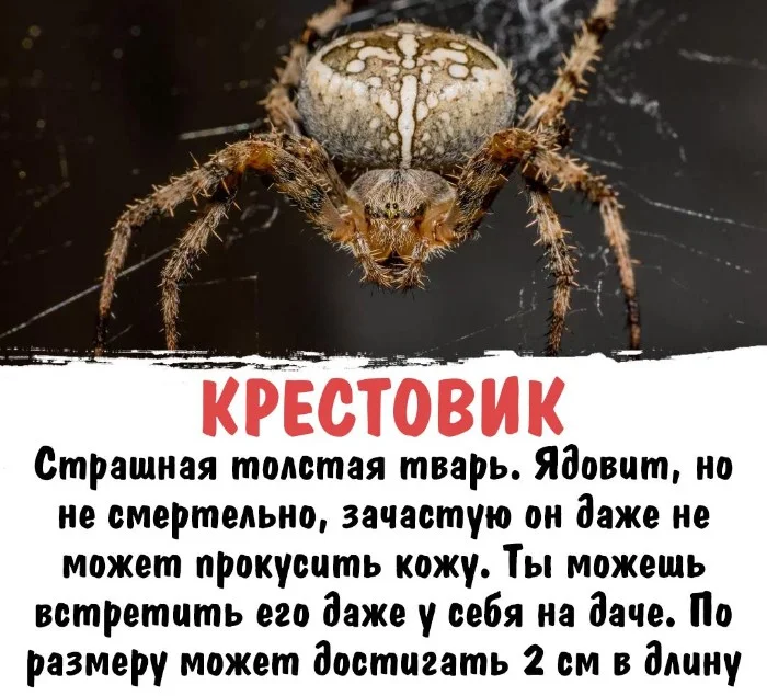 Интересная биология #14