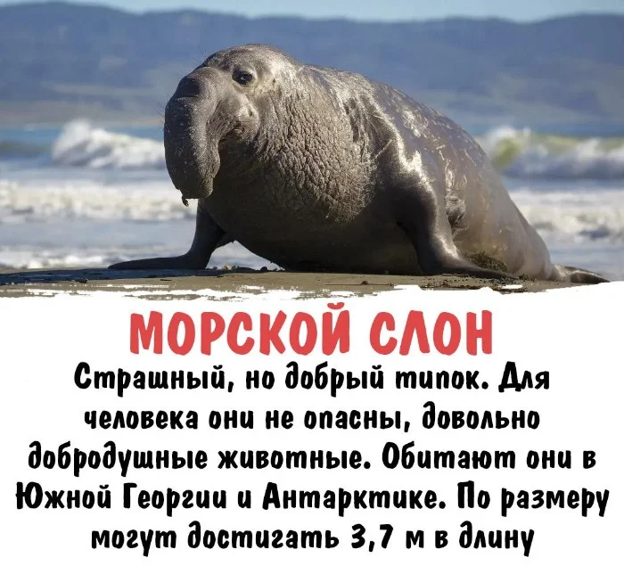 Интересная биология #6 | uCrazy.org
