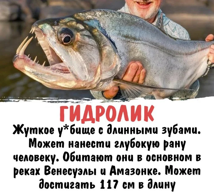 Интересная биология #8