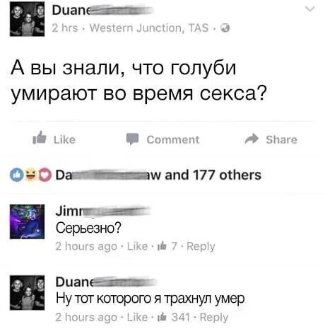 Нестандартный юмор #147