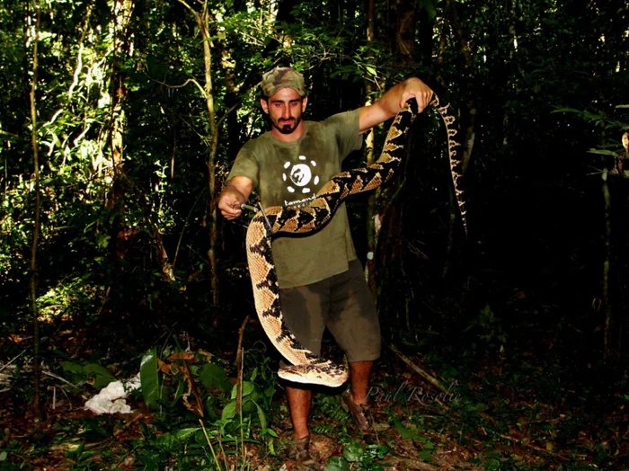 Бушмейстер — гигант среди гадюк: действительно ли он заслуживает прозвище «Злой демон»?
