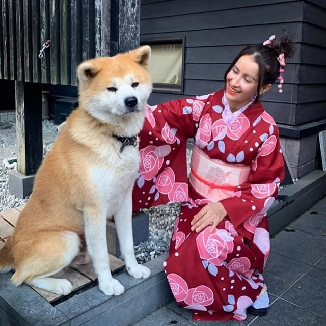 Акита-ину и миф о Хатико: как неправильный выбор породы превращает владельца в «чучело»