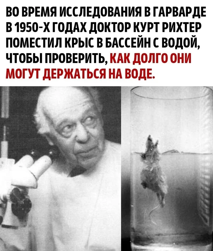 Вера — источник самой большой силы