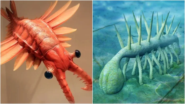 Причудливые артефакты Первой мировой: каска Адриана и не только