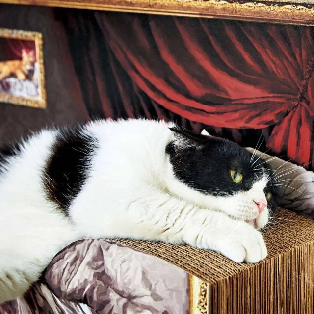 Felissimo выпускает элитные когтеточки-лежанки в форме кровати с декоративной картиной