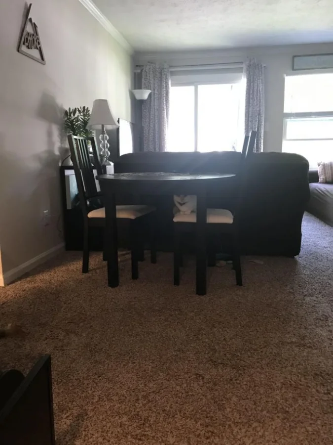 Мастера камуфляжа: 12 примеров для тренировки вашей наблюдательности