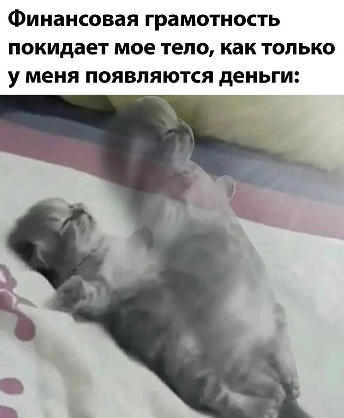 Прикольные картинки #22