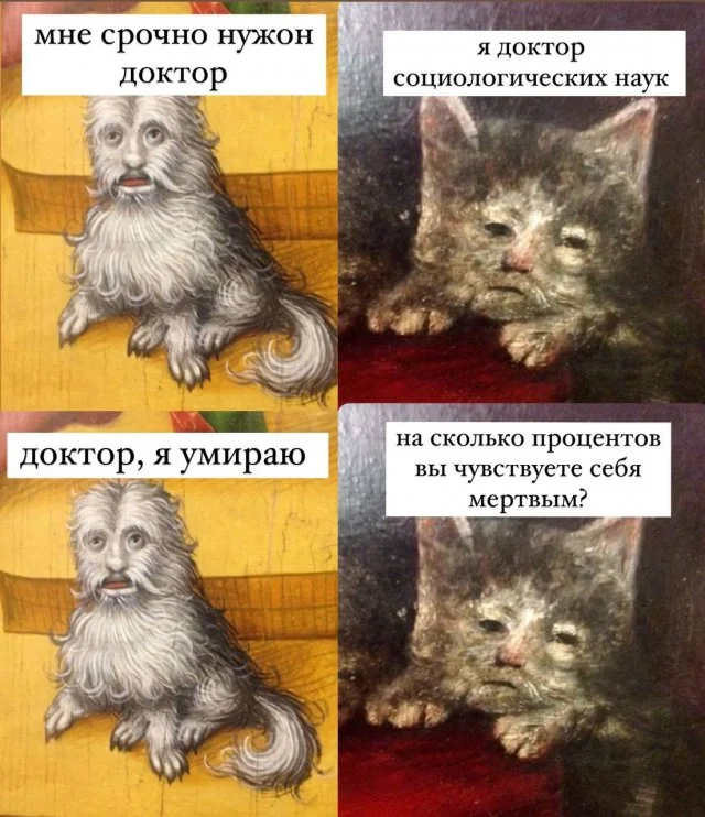 «Мне срочно нужен доктор»: лучшие мемы и шутки о неожиданных ситуациях