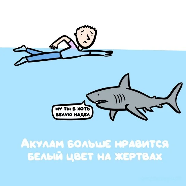 Любопытные факты