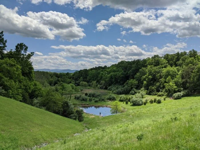 Подъехало всё вразнобой