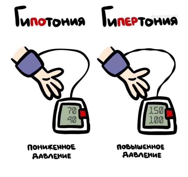 Факты на все случаи жизни