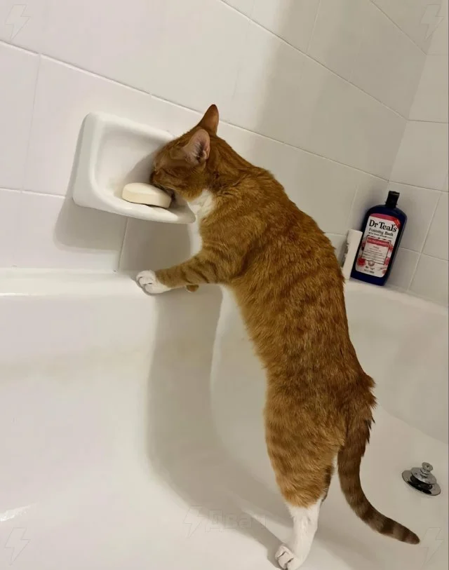 Фотосессия "Просчитался, но где?"