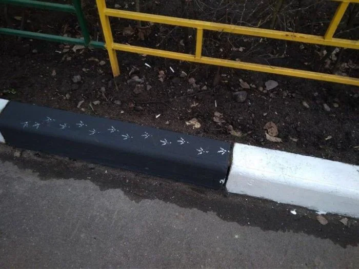 Наглые и бесстыжие: 20 птиц, которые ведут себя ужасно и не раскаиваются