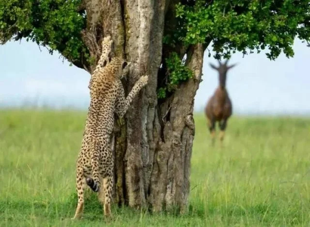 Намешалось: Красивые и интересные картинки