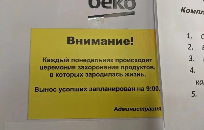 Странные и забавные: 18 объявлений, вызывающих улыбку