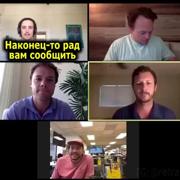 Как "грамотно" слиться всем коллективом с созвона