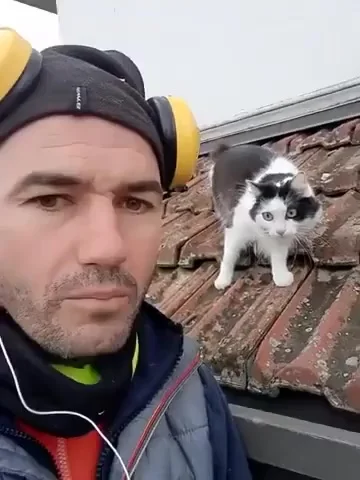 Что ты только что сказал?⁠⁠