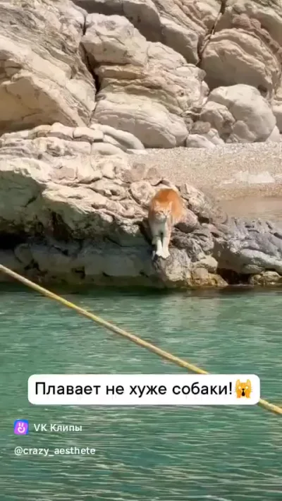 Абордажное⁠⁠