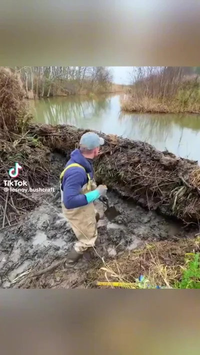 Открытие бобровой плотины
