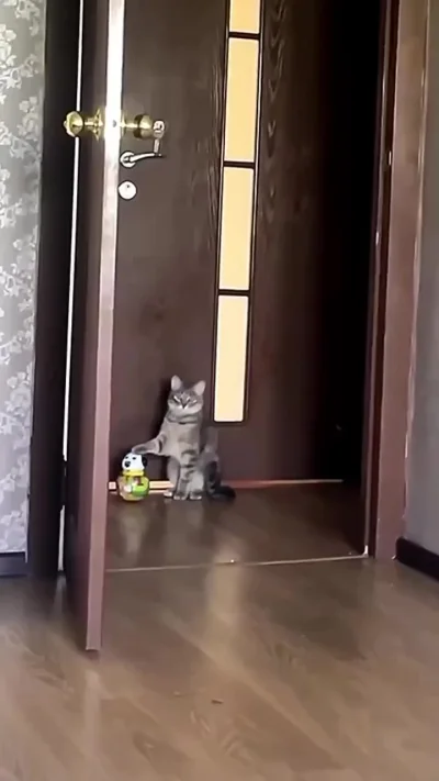 Будь осторожнее с котиками...⁠⁠