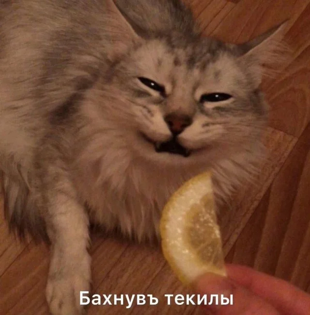 Юмор для взрослых