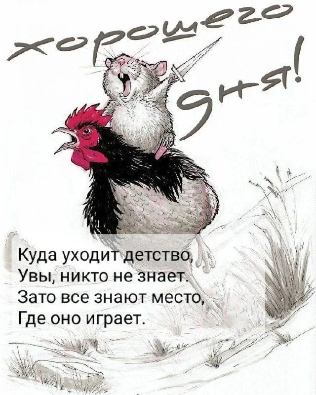 Прикольные картинки в ленту