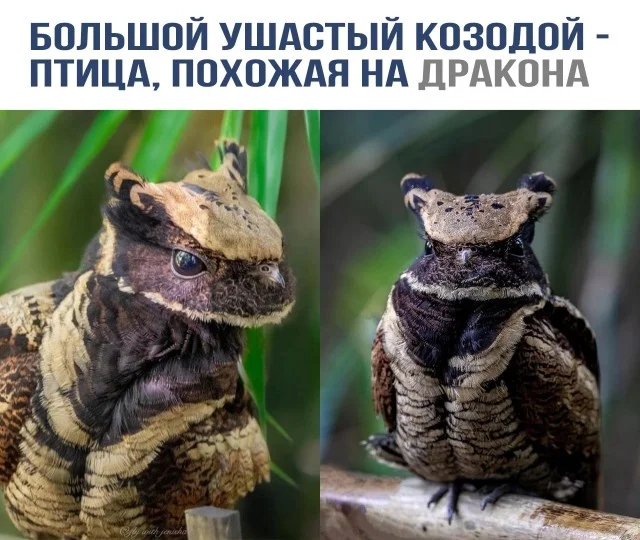 Разнообразные прикольные картинки | uCrazy.org