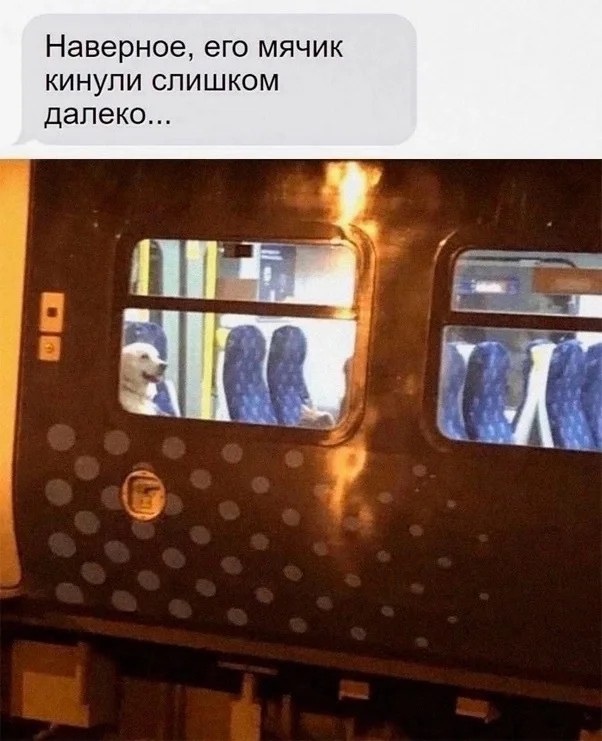 Реально прикольные картинки