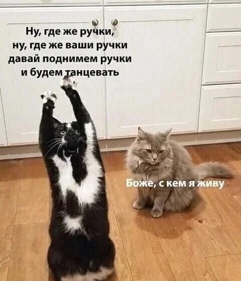 Реально прикольные картинки | uCrazy.org