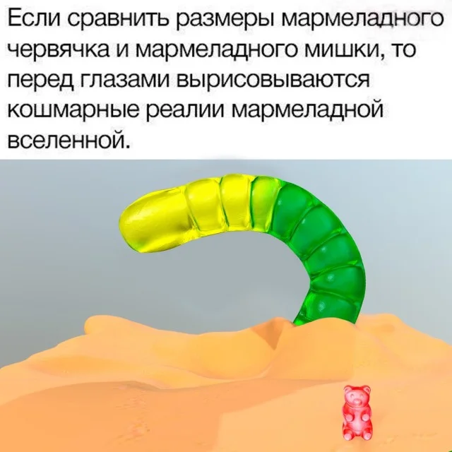 Веселые и смешные картинки