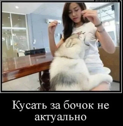 Картинки, что надо