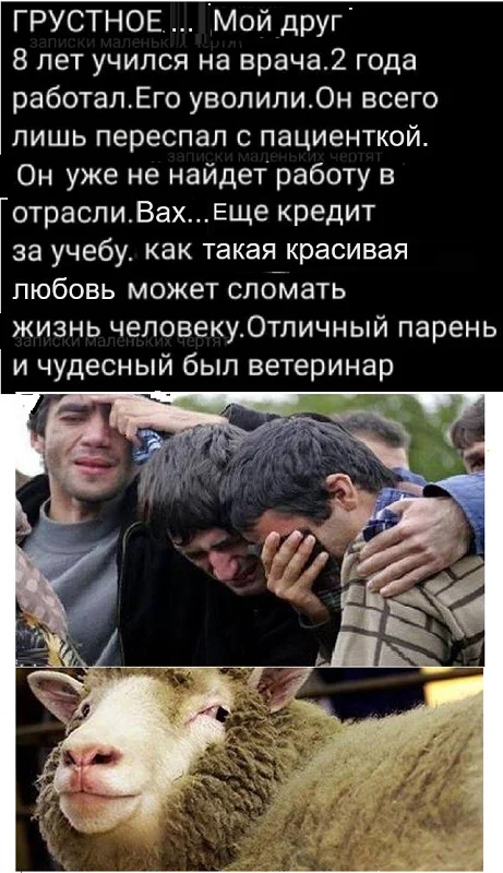Смешные фото чурок