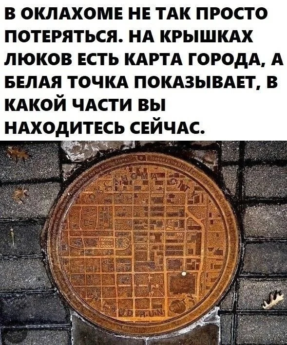 Веселые картинки в ленту