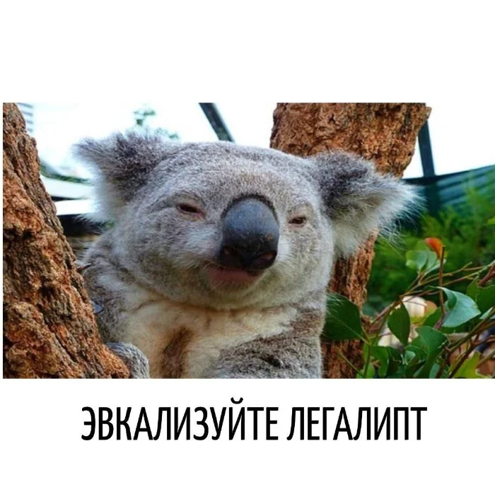 Игра слов #25 | uCrazy.org