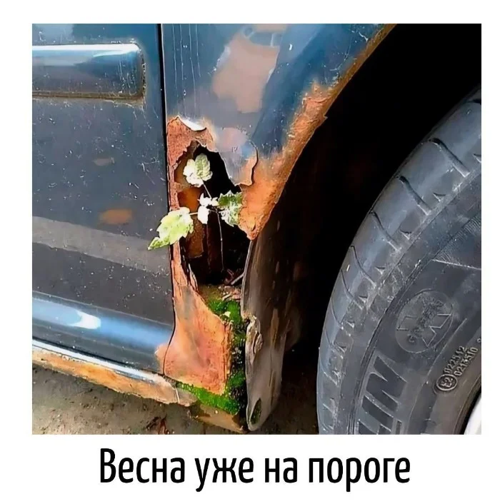 Игра слов #31