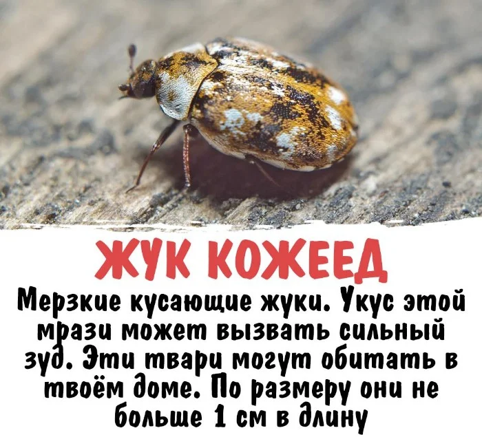 Интересная биология #15