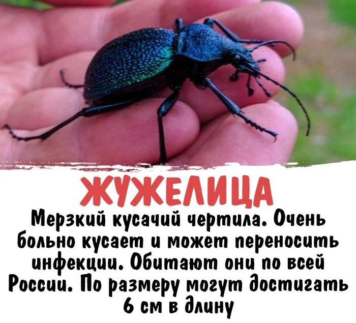 Интересная биология #16