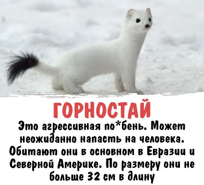 Интересная биология #17