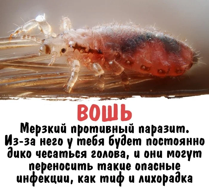 Интересная биология #19