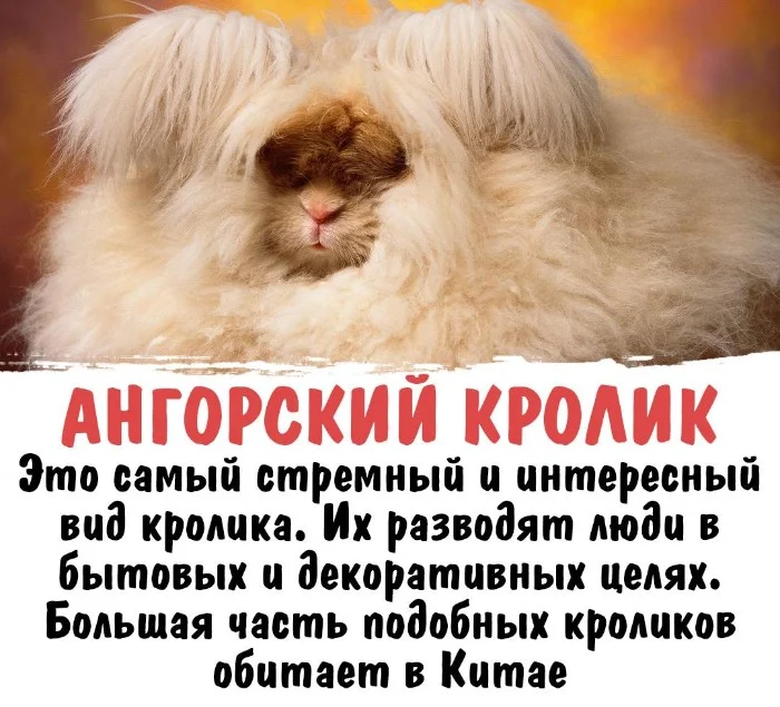 Интересная биология #26