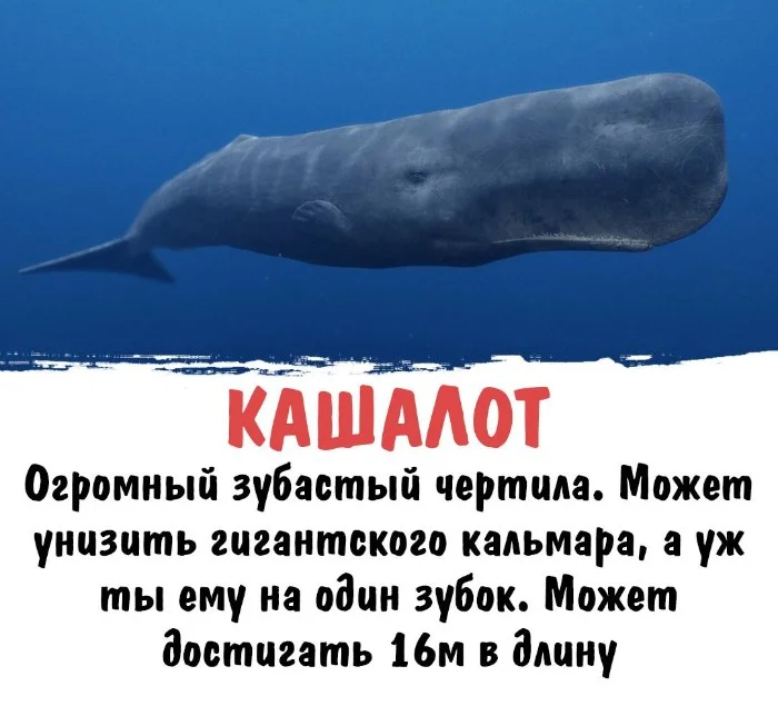 Интересная биология #27