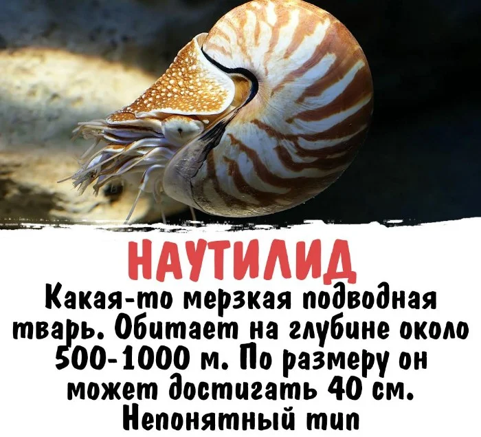 Интересная биология #30 | uCrazy.org