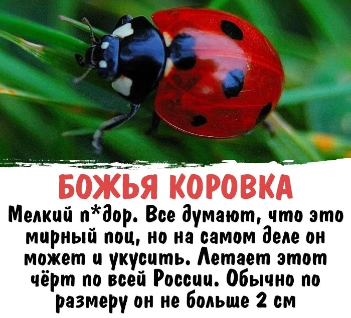 Интересная биология #33