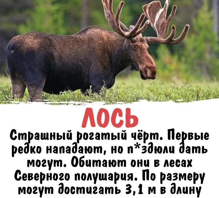 Интересная биология #35