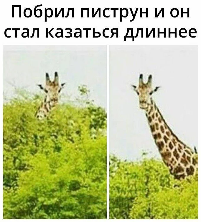 Нестандартный юмор #232